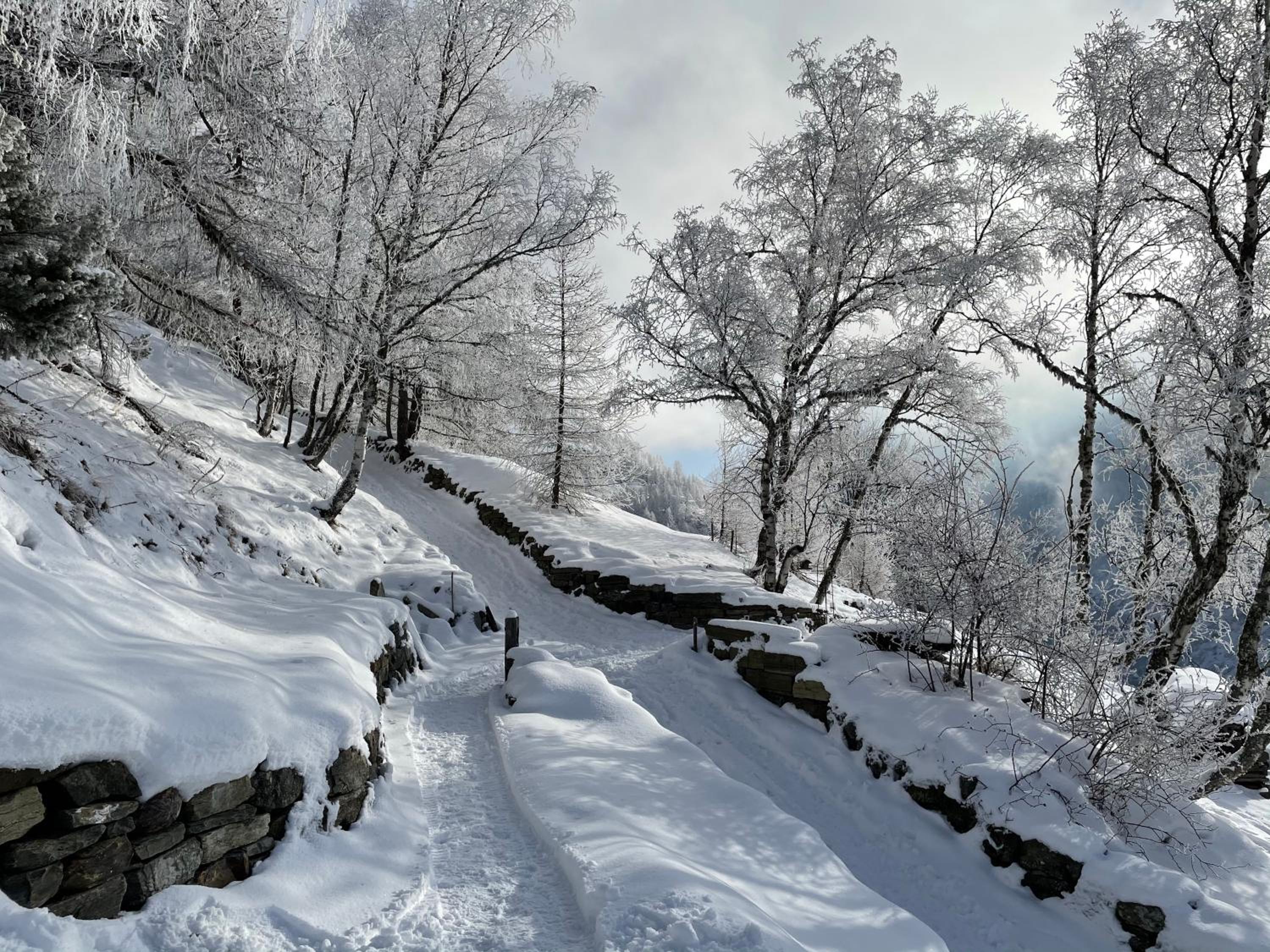 Chalet Bildji