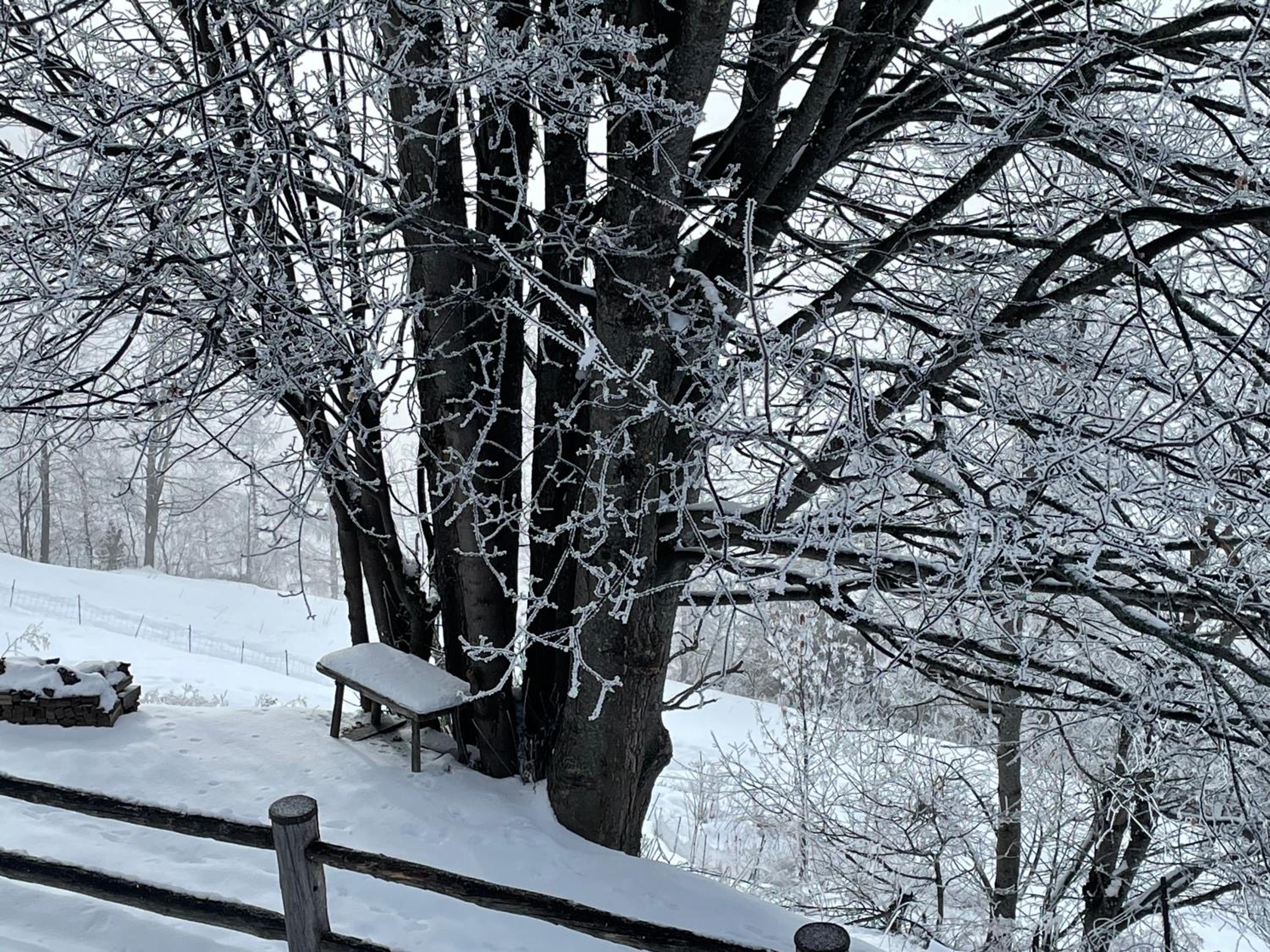 Chalet Bildji