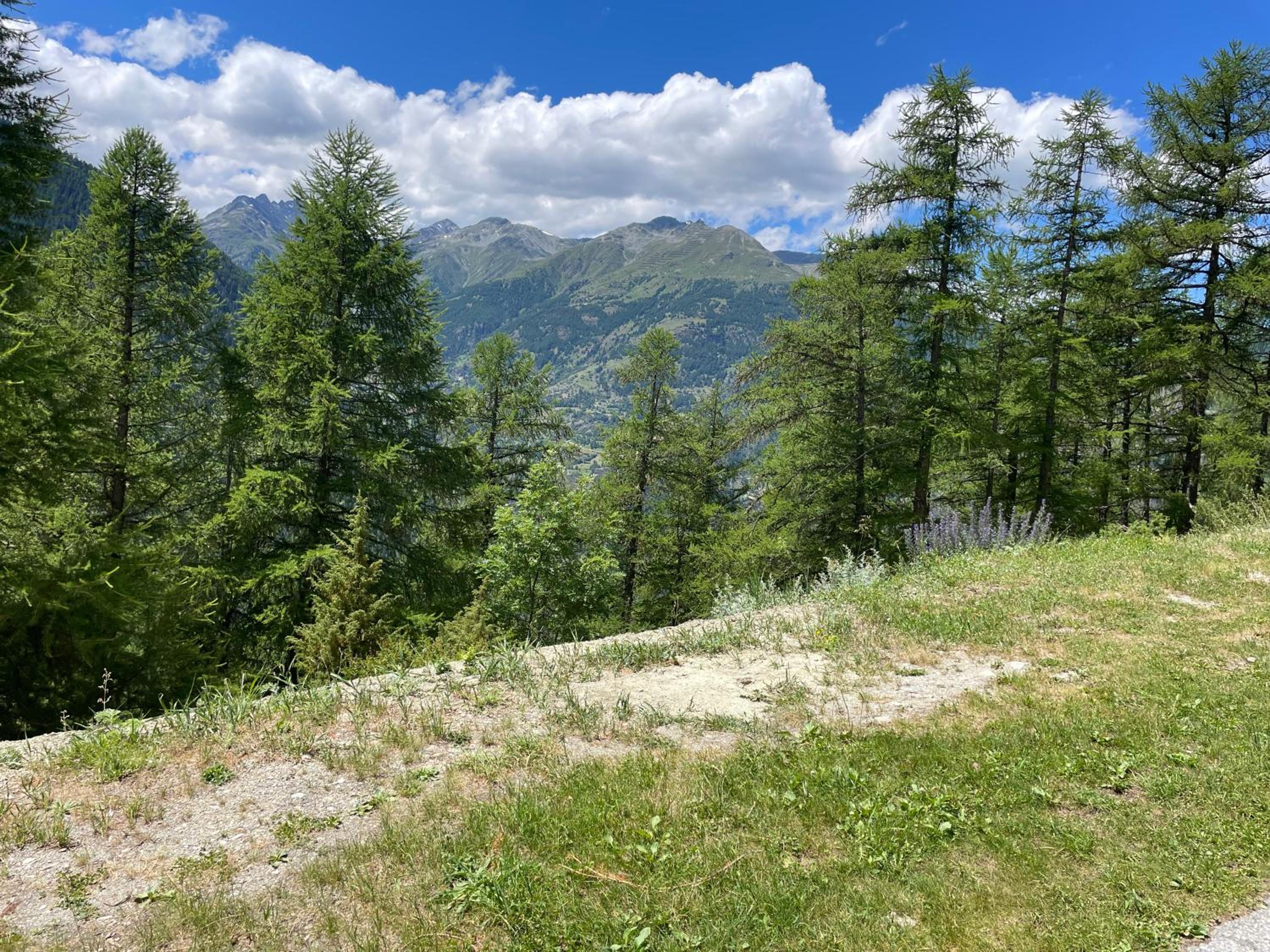 Chalet Bildji