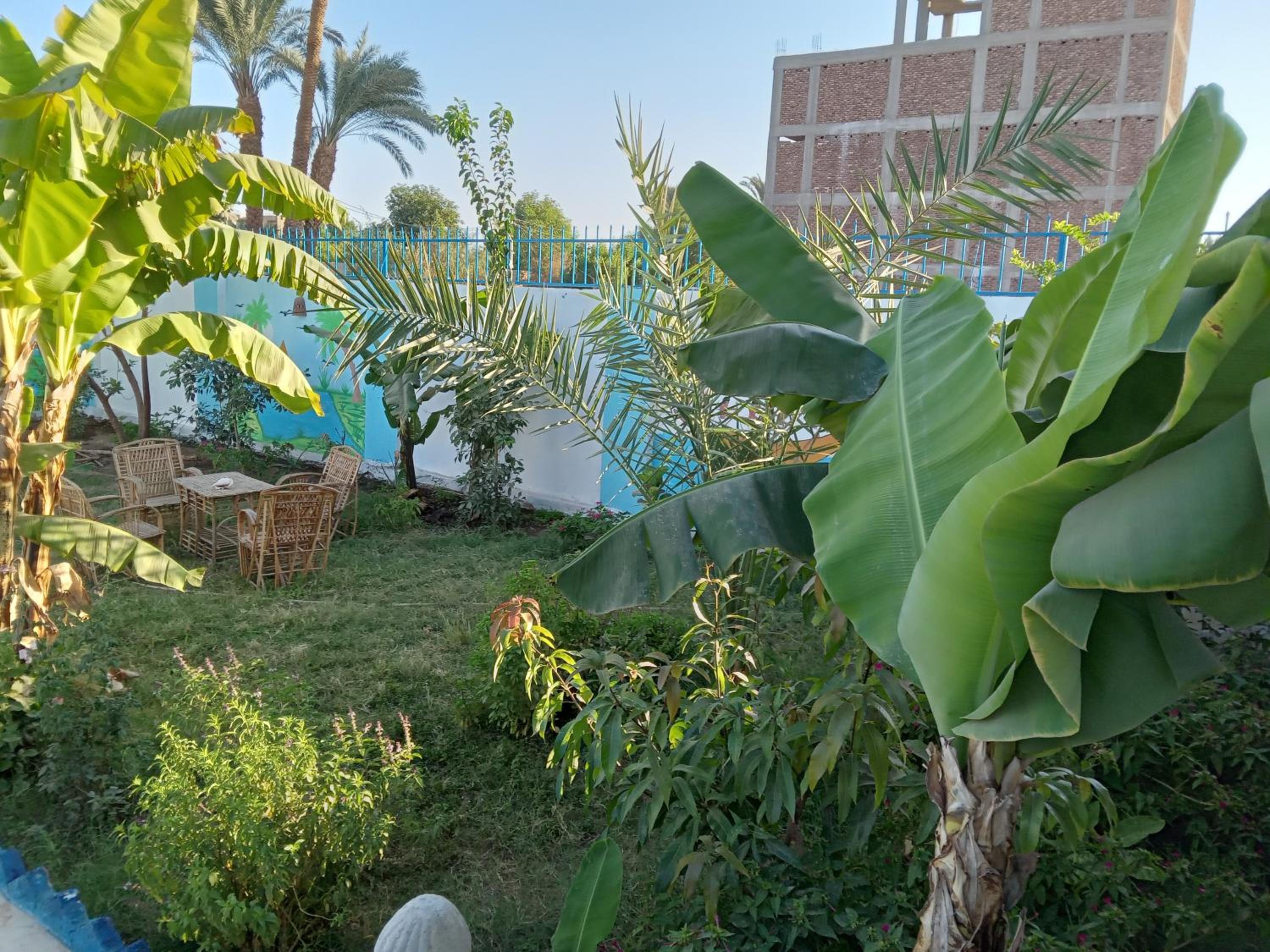 Noby Guest House view 5