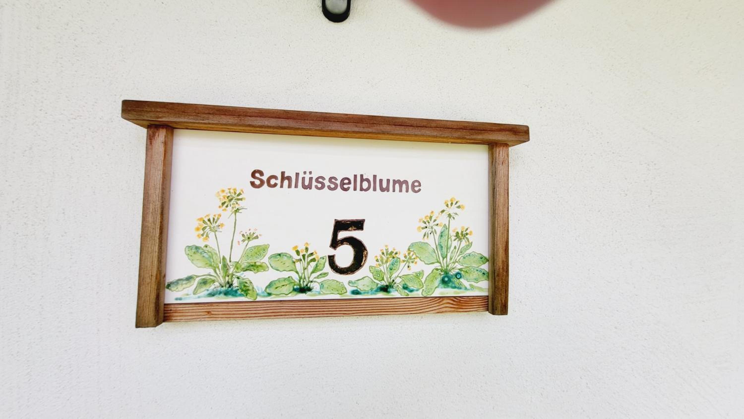 Stodertraum 5