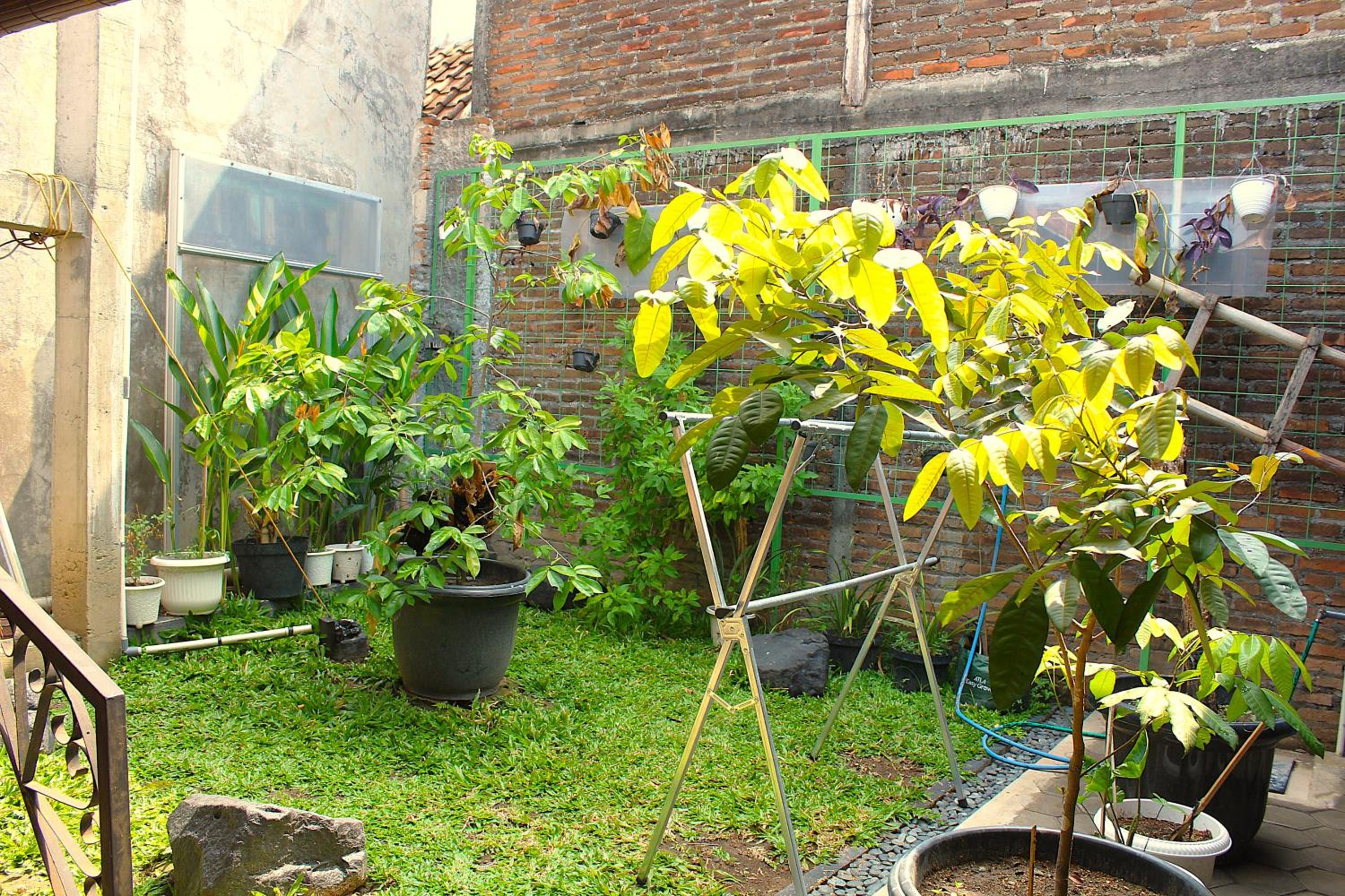Photo 22