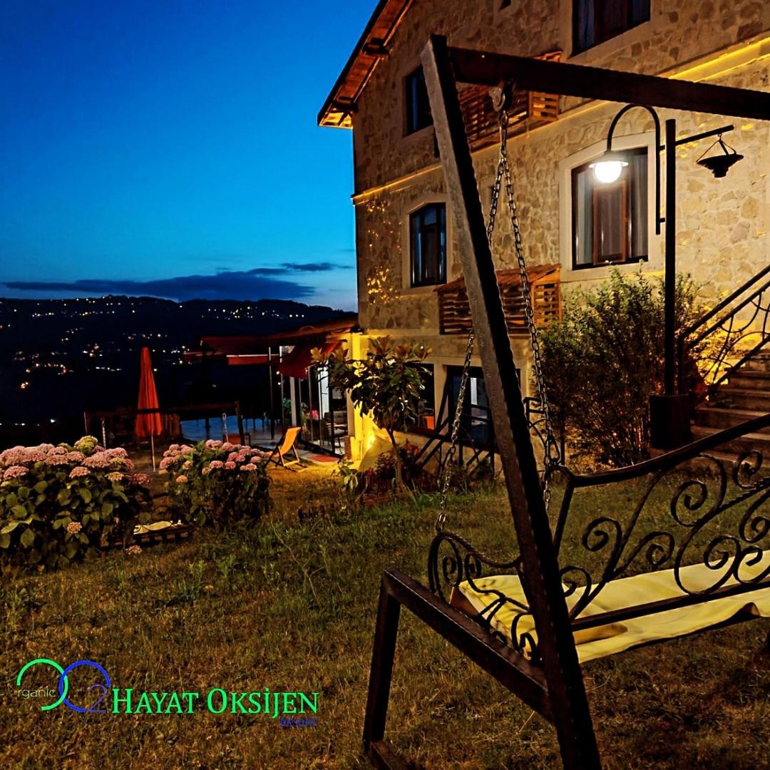 Hayat Oksijen Resort view 3