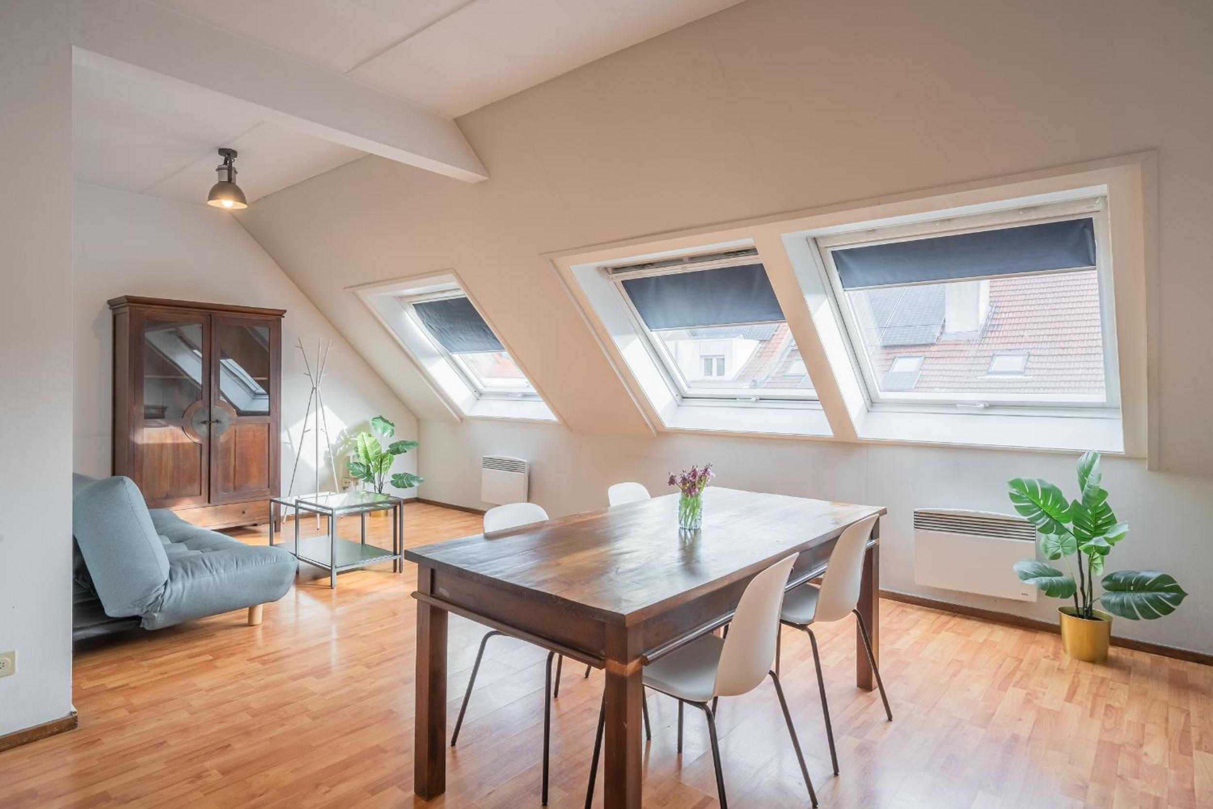 Bright Apartments In The Centre Of Antwerp