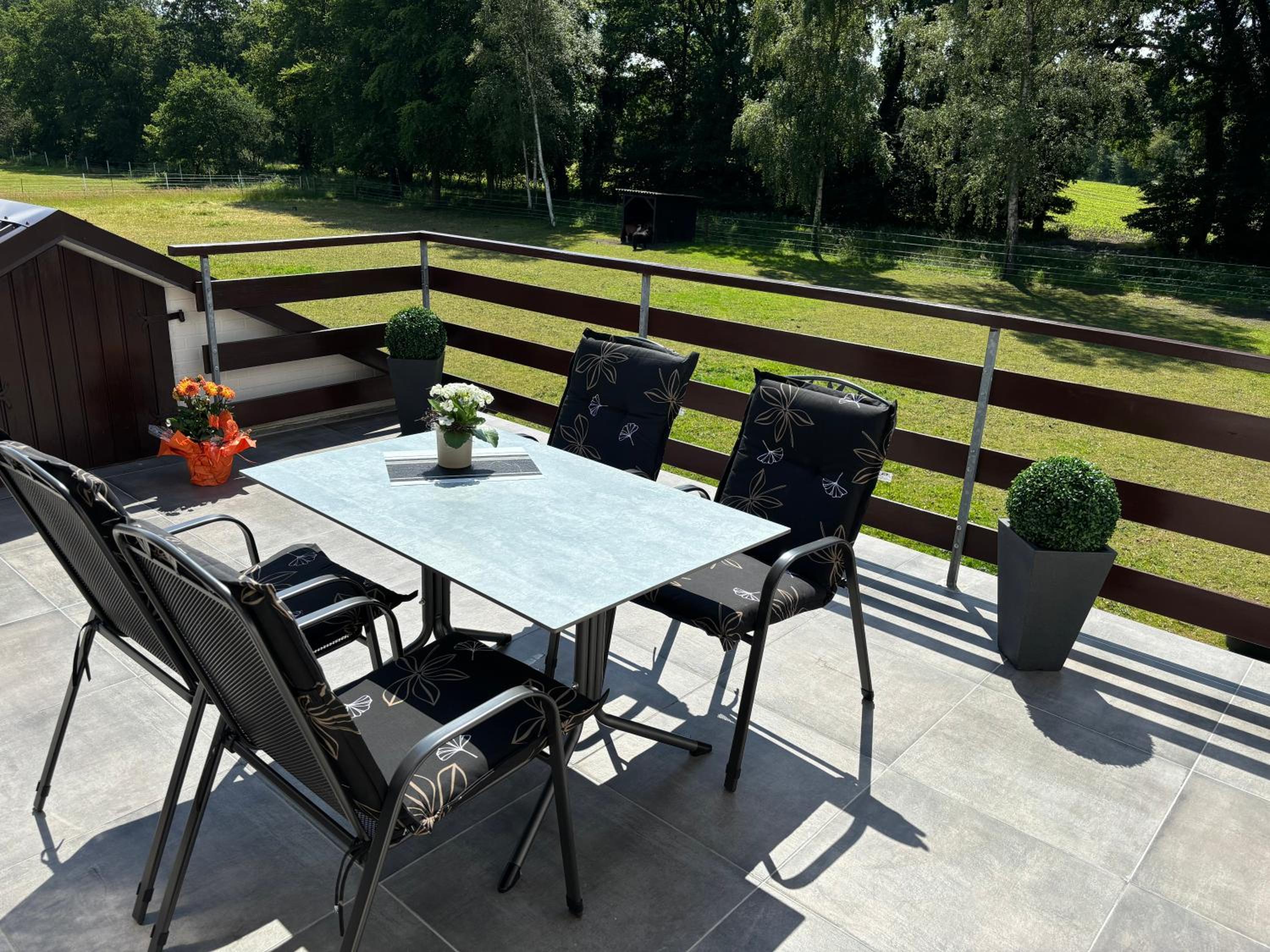 balance & terrace
