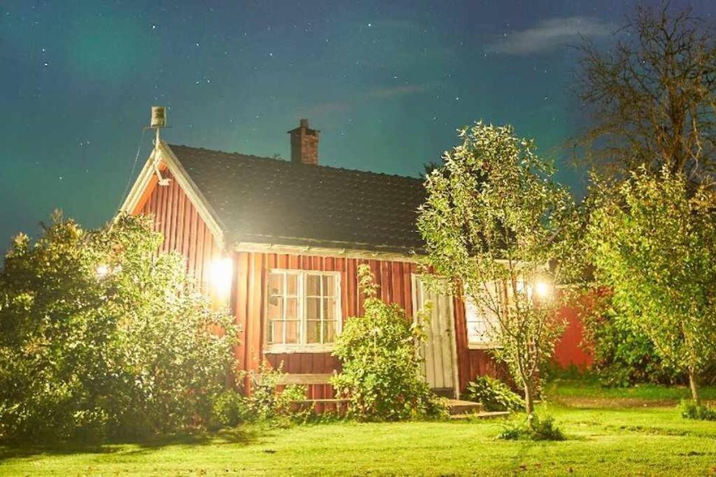 Koselig hytte på gårdstun i Oslo