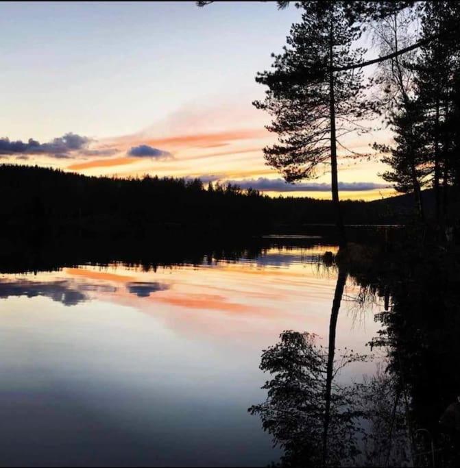 Koselig hytte på gårdstun i Oslo