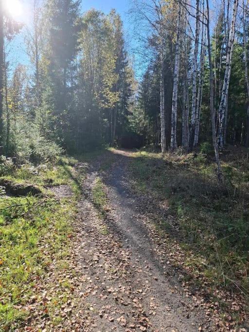 Koselig hytte på gårdstun i Oslo