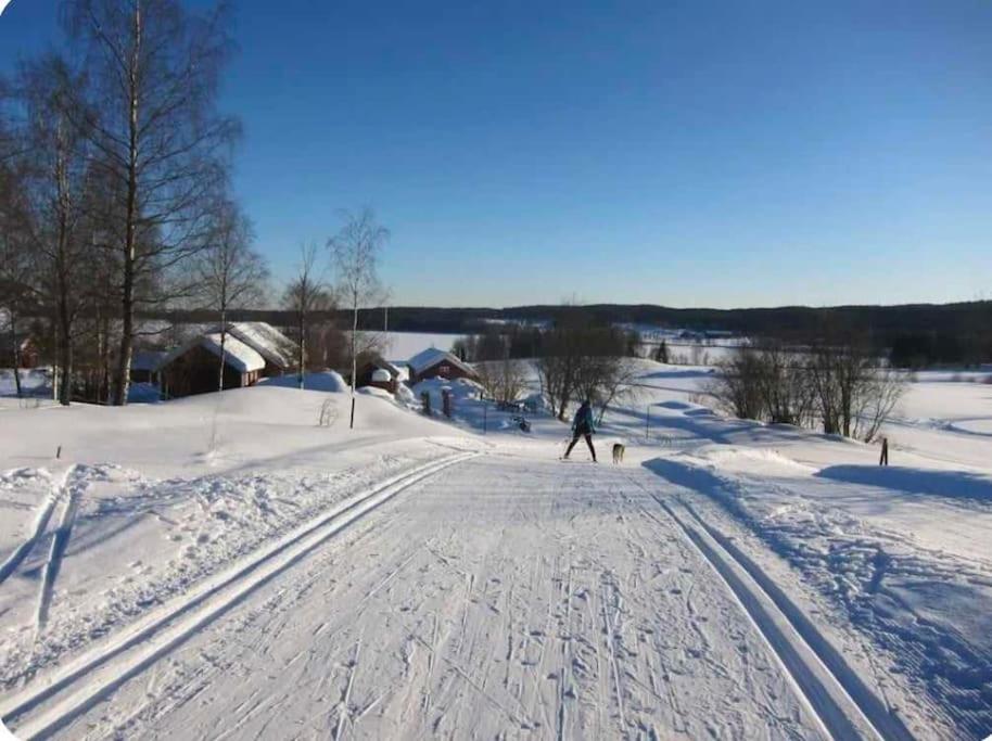 Koselig hytte på gårdstun i Oslo
