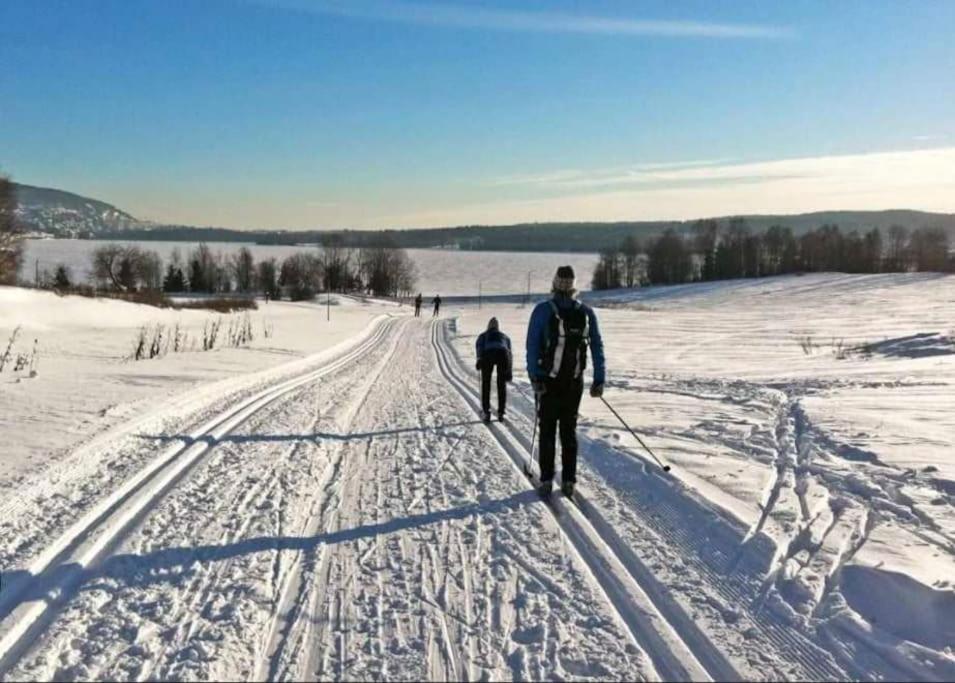 Koselig hytte på gårdstun i Oslo
