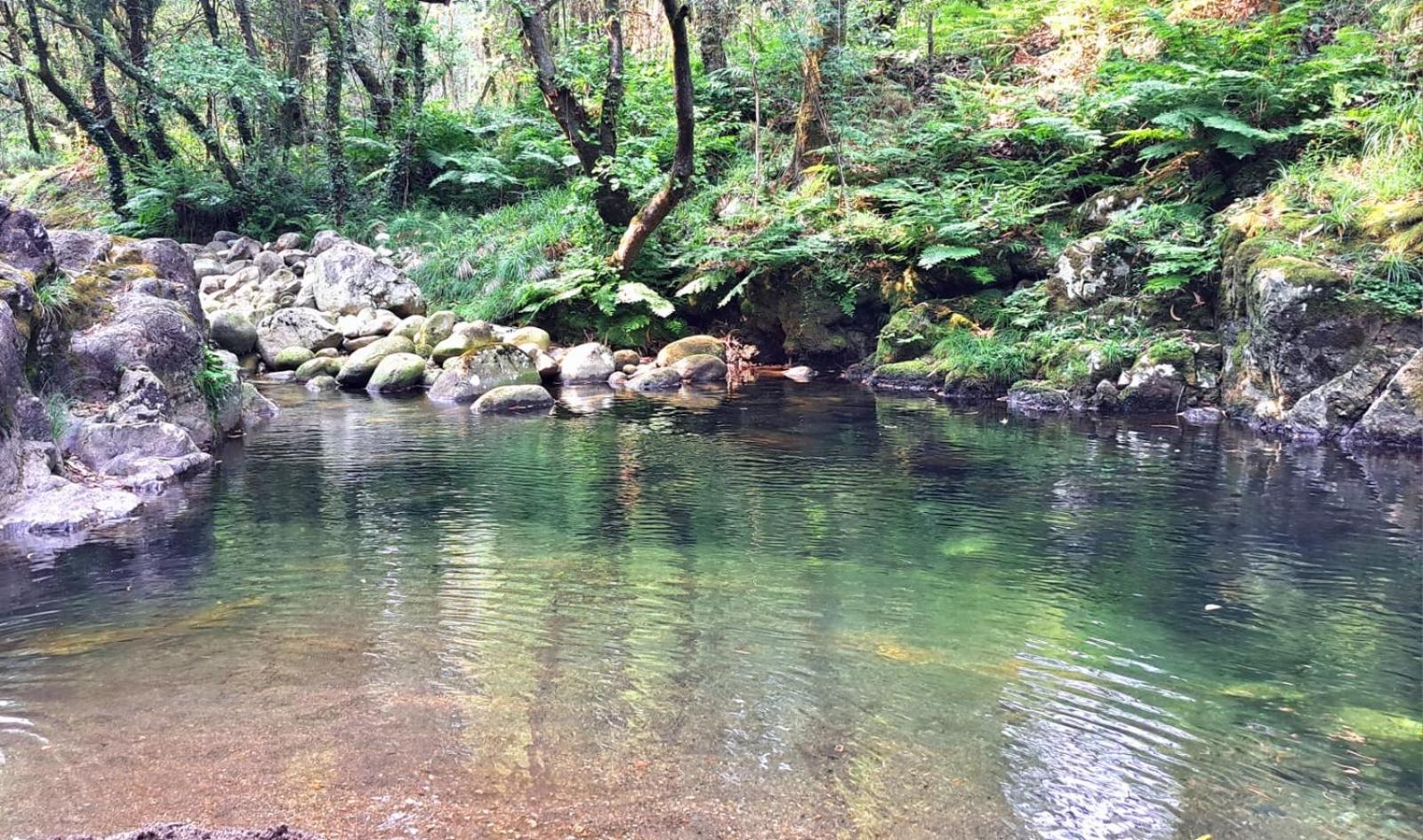 Campomuiños