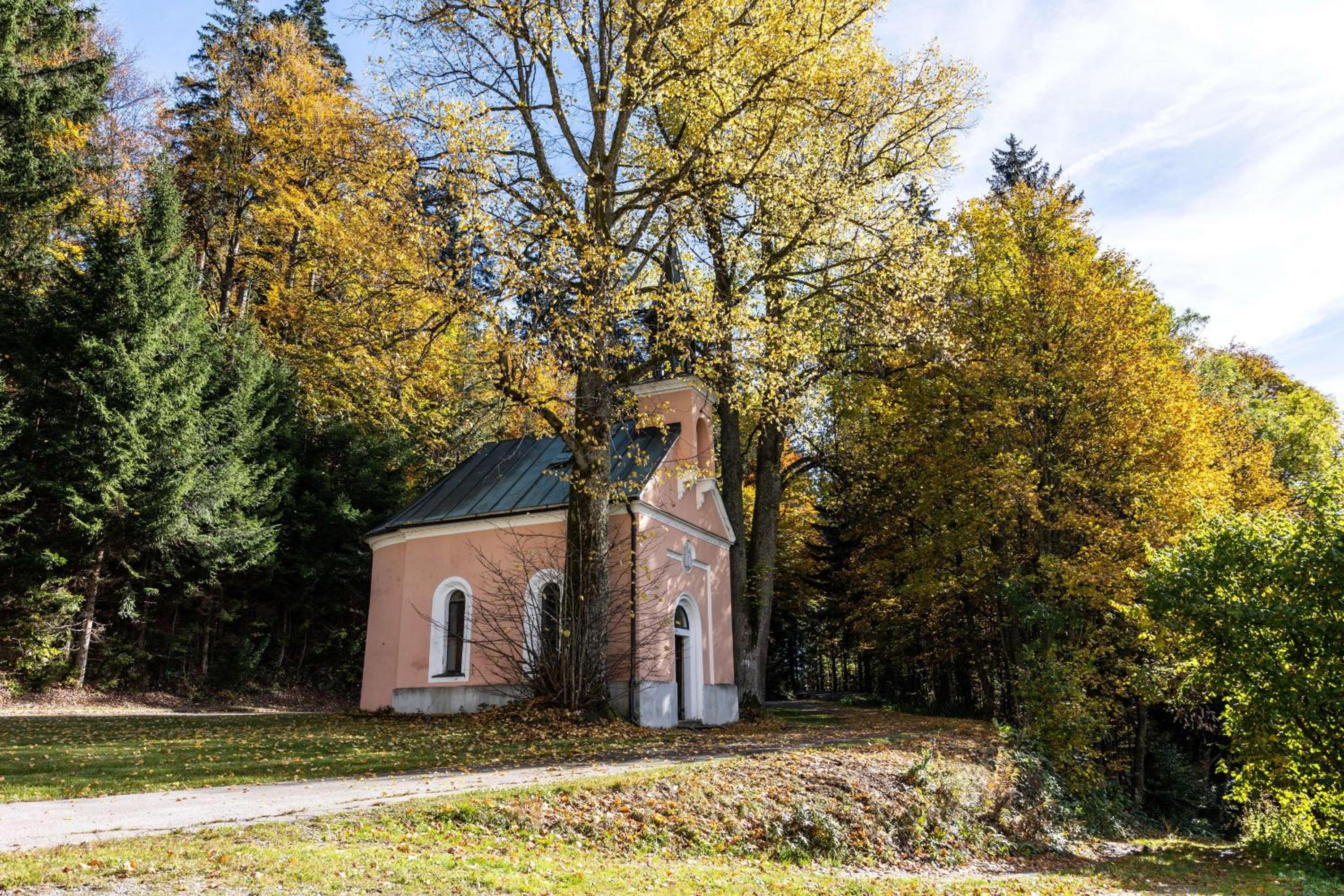 Forsthaus Apartments - Die Ruheoase nahe Klaffer