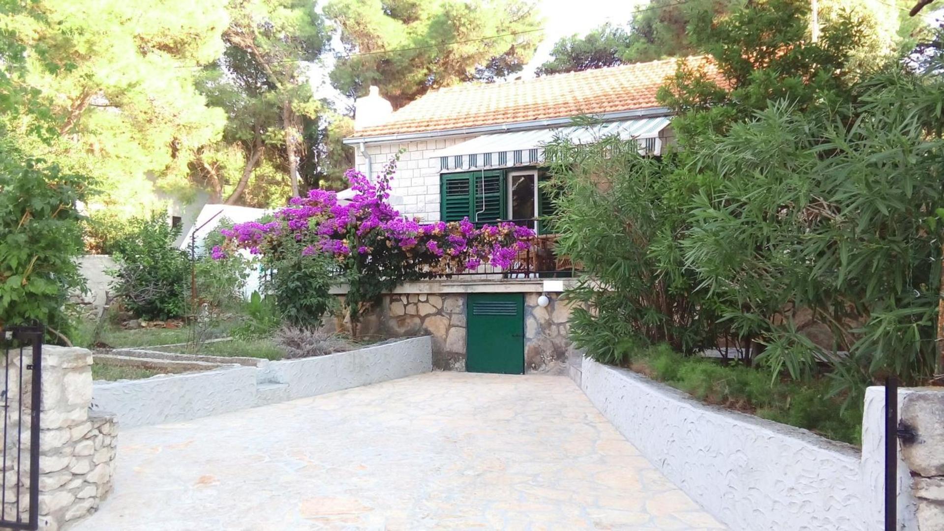 House Dragan view 4