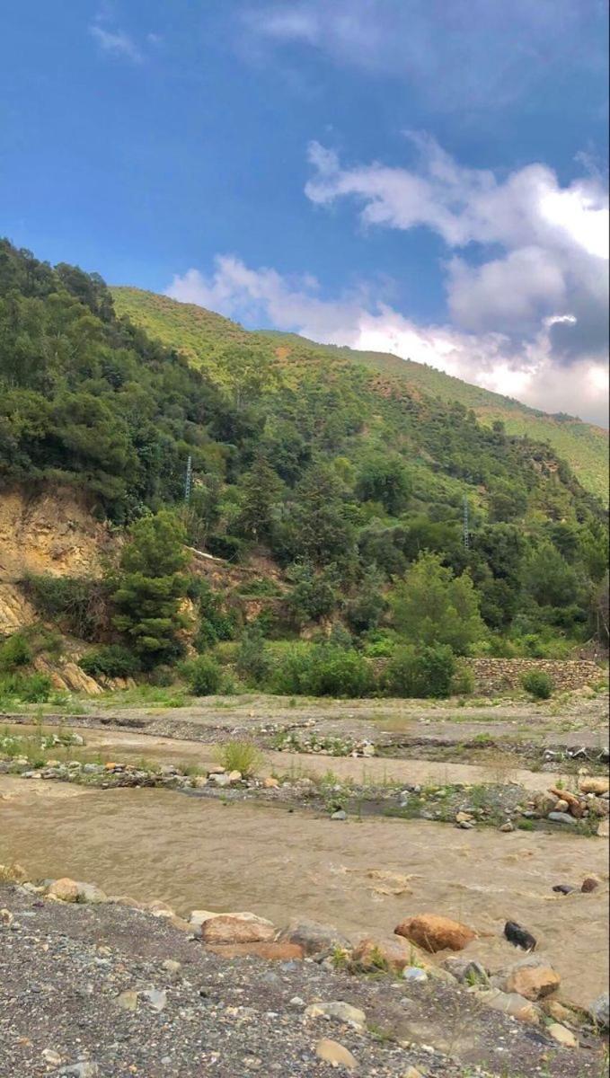 other
