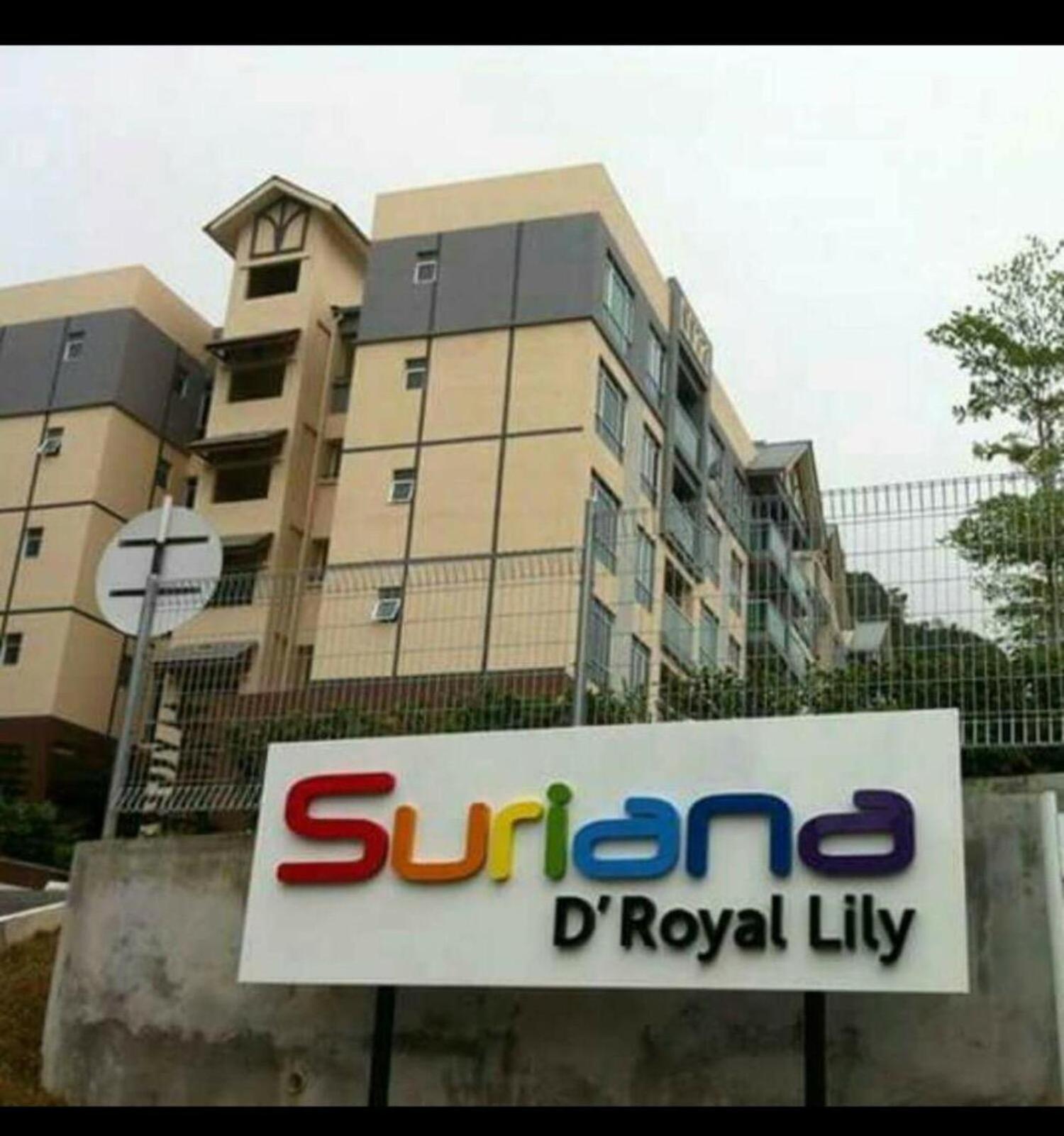 Dinida Suriana D'Royal Lily photo 2