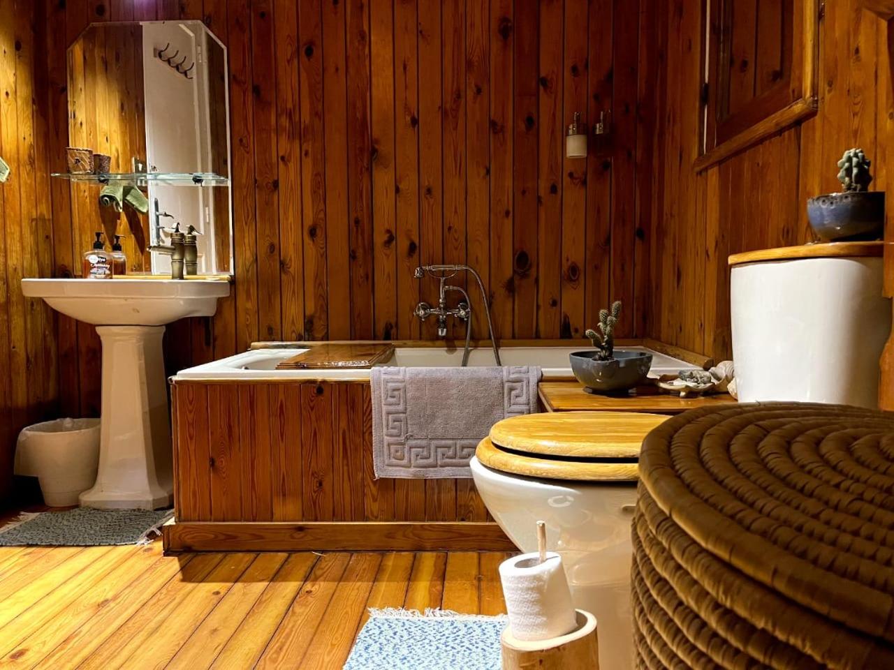 Houseboat65 - Historic home on the Nile - Central Cairo