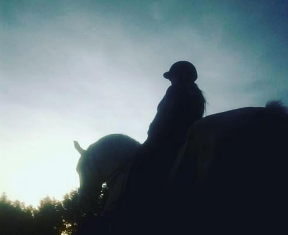 Hospede-se dentro de um Haras