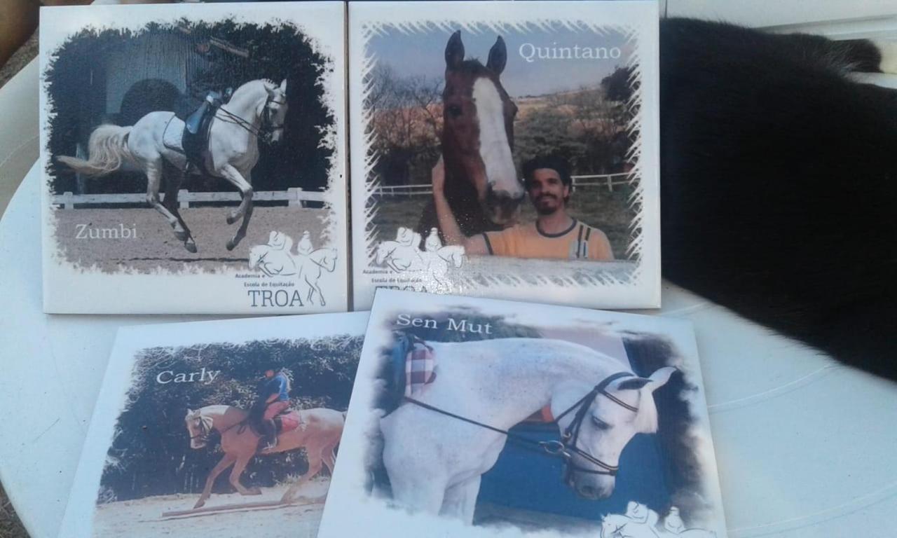 Hospede-se dentro de um Haras