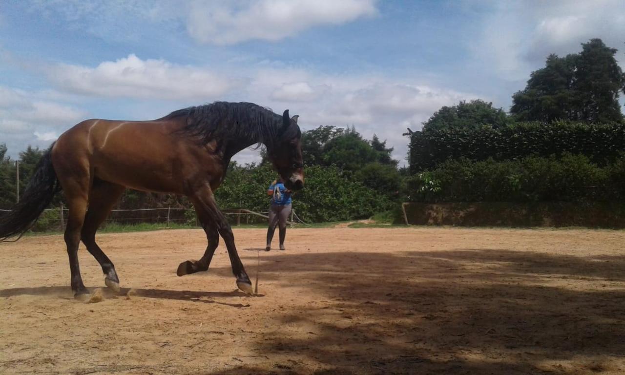 Hospede-se dentro de um Haras