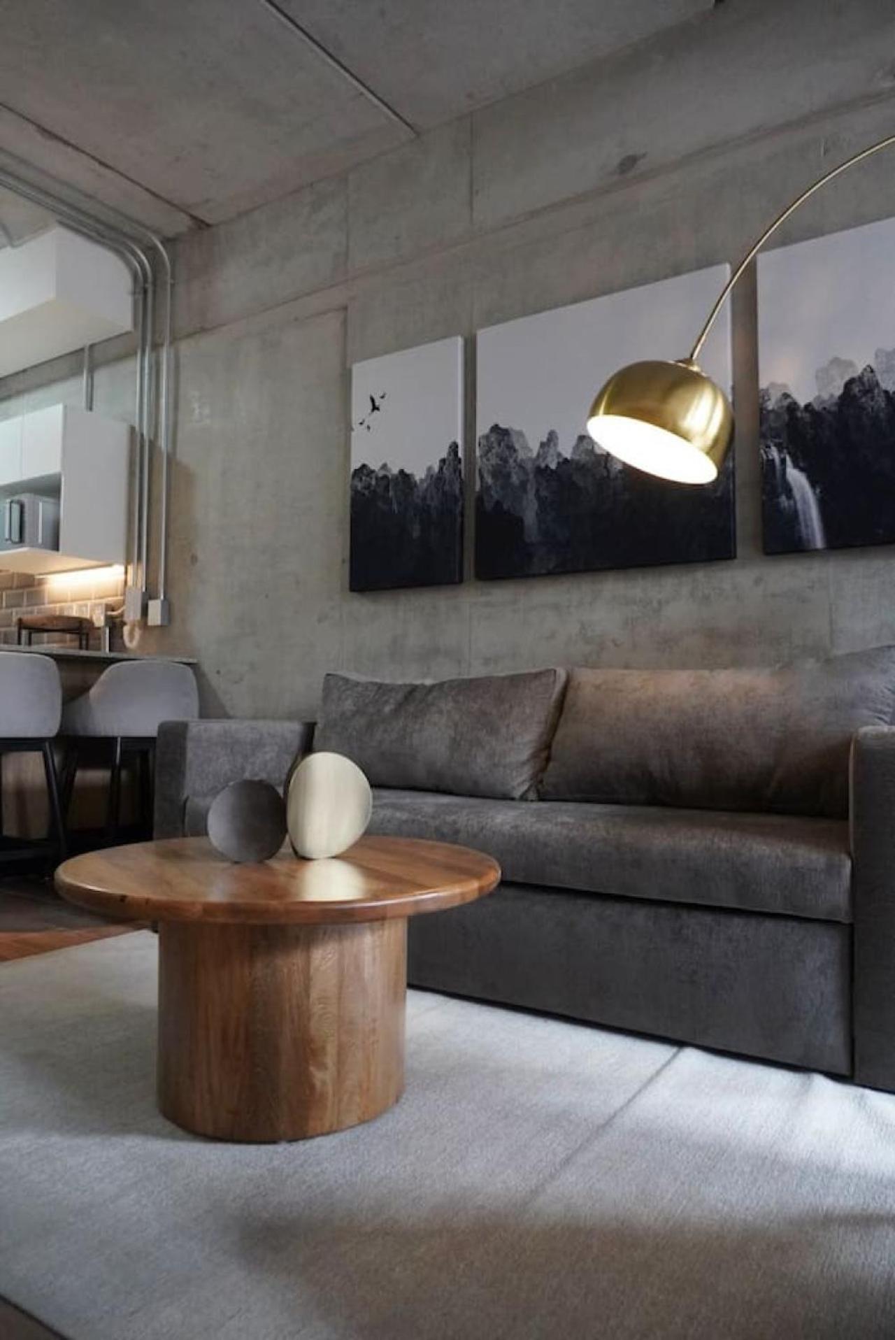 LEF 208 Zona Americana view 5