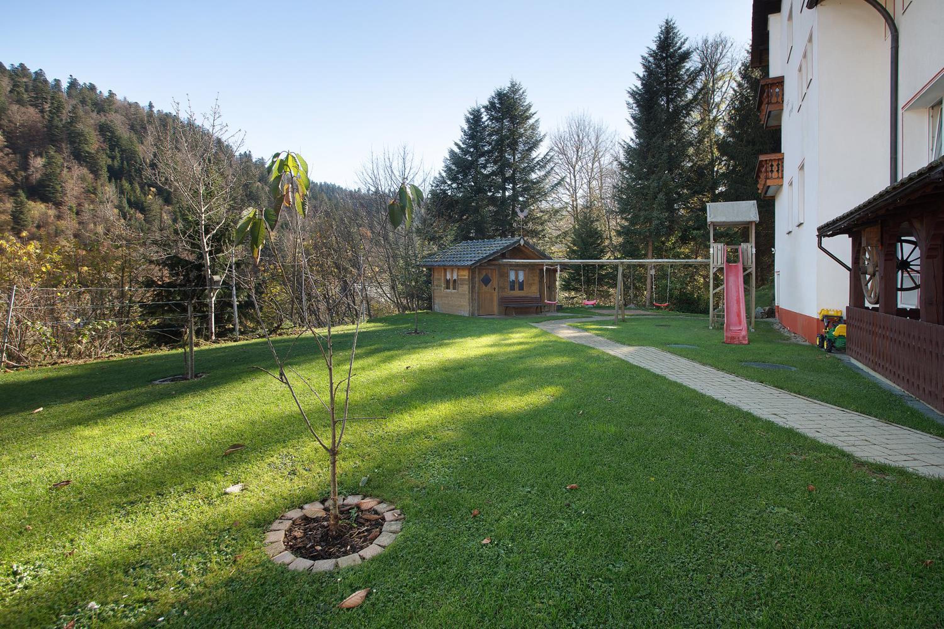 Photo 6