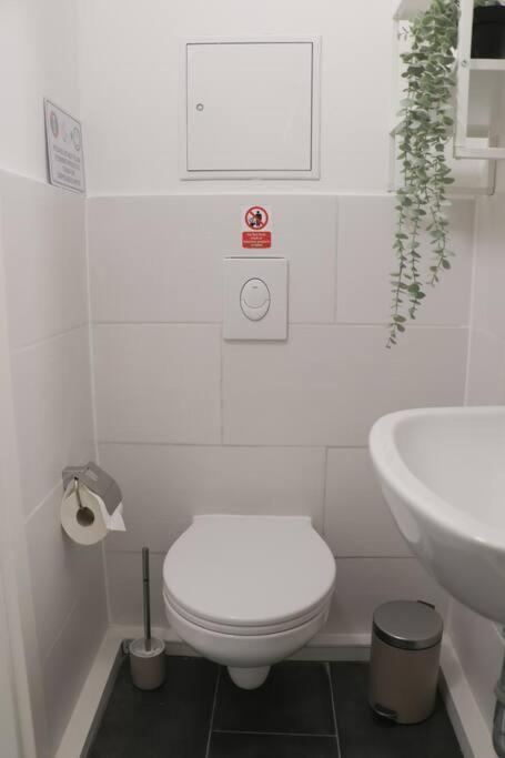 Zentral gemütliches Design Apt Nähe Schlossstraße