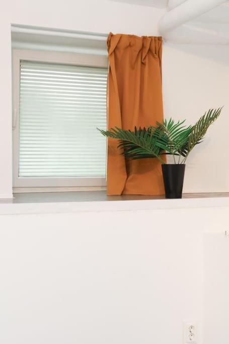 Zentral gemütliches Design Apt Nähe Schlossstraße