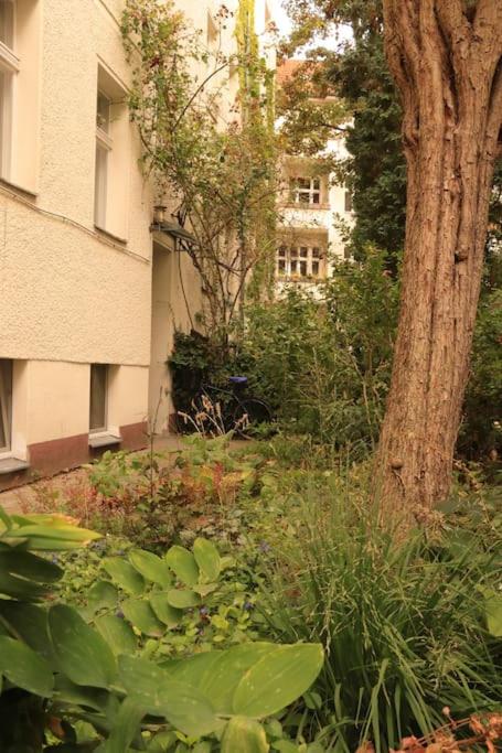 Zentral gemütliches Design Apt Nähe Schlossstraße