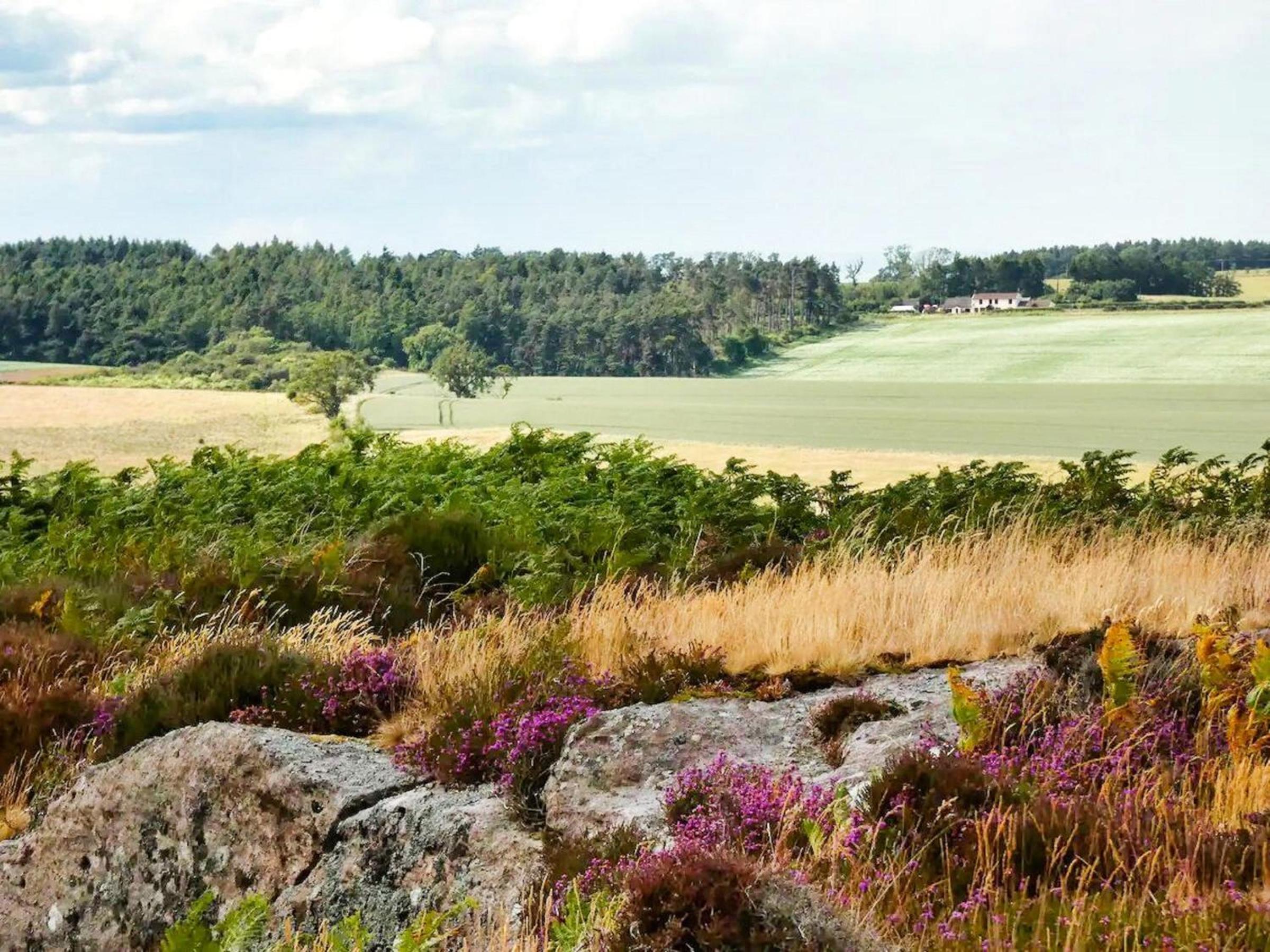 Ford Common - Near Berwick - Bungalow - Sleeps 6 - Stunning Walks and Views - Dog Friendly - 2 Bedrooms 2 Bathrooms Cottage - Sun Room - Private Garden - O view 3