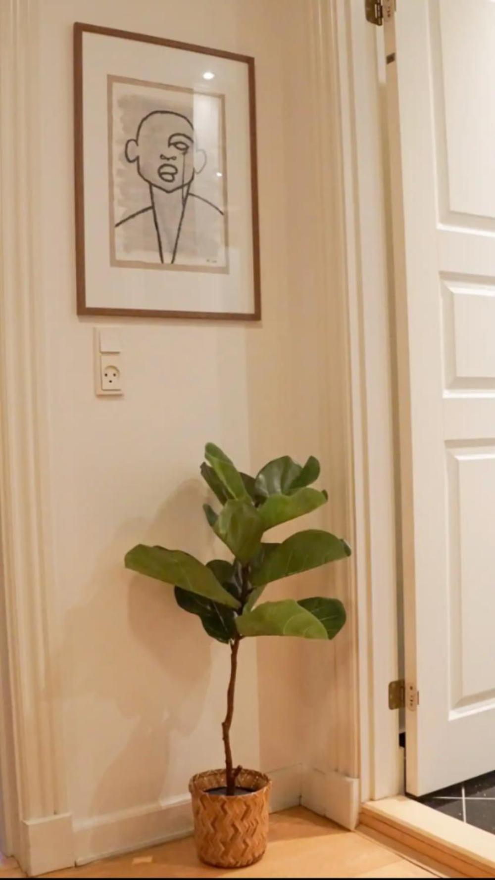 Luxurious CPH flat A location