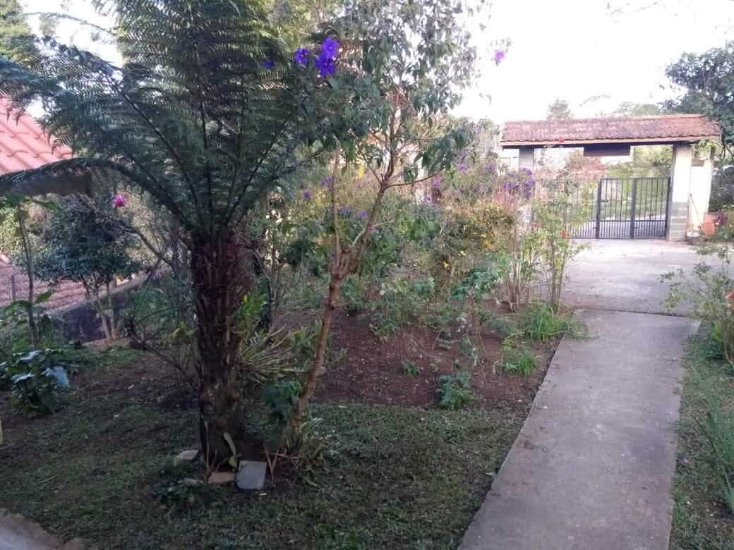 Casa Vivenda dos Bem-te-vis