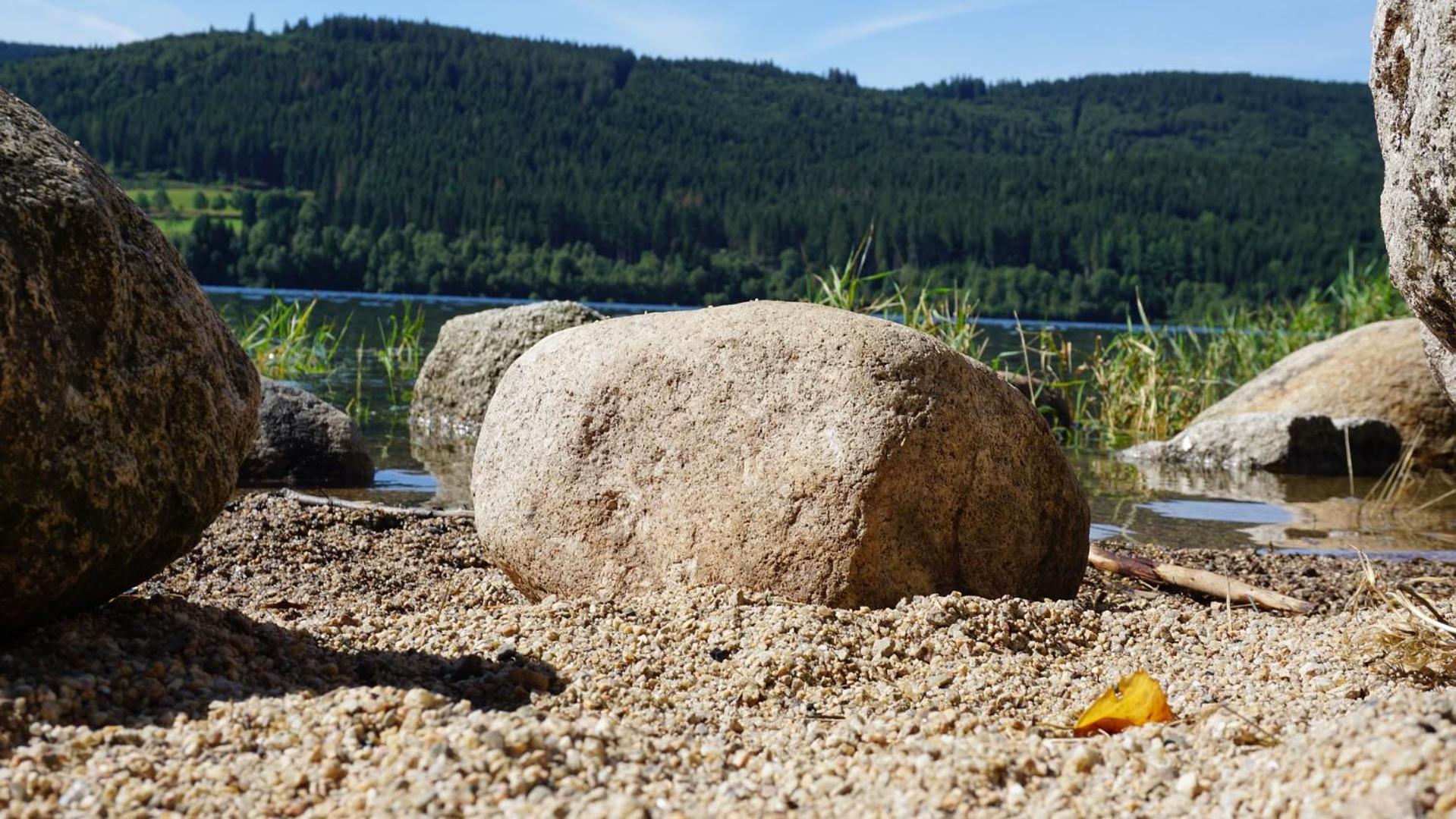 Bergsee en Schluchsee — other