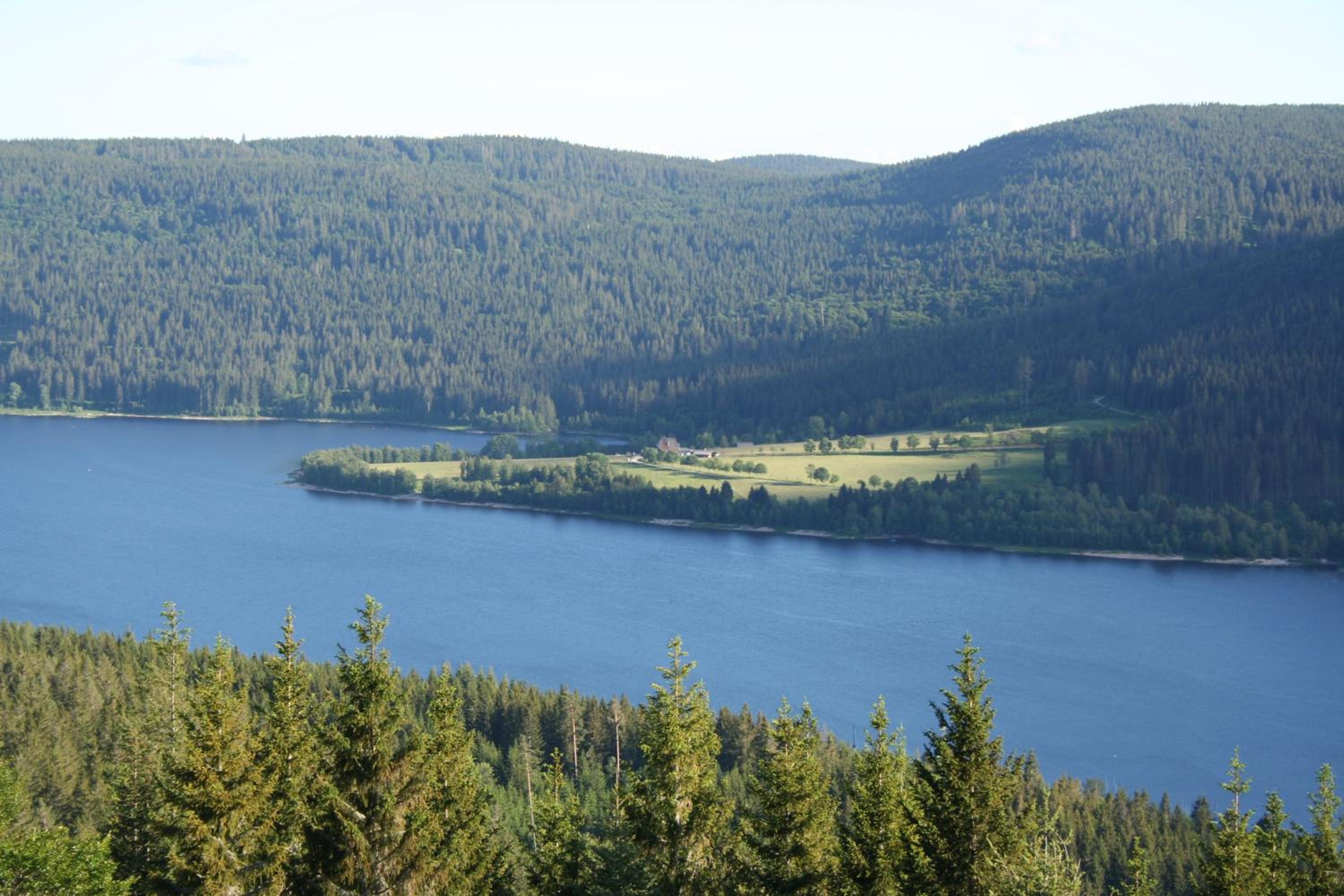 Bergsee en Schluchsee — other