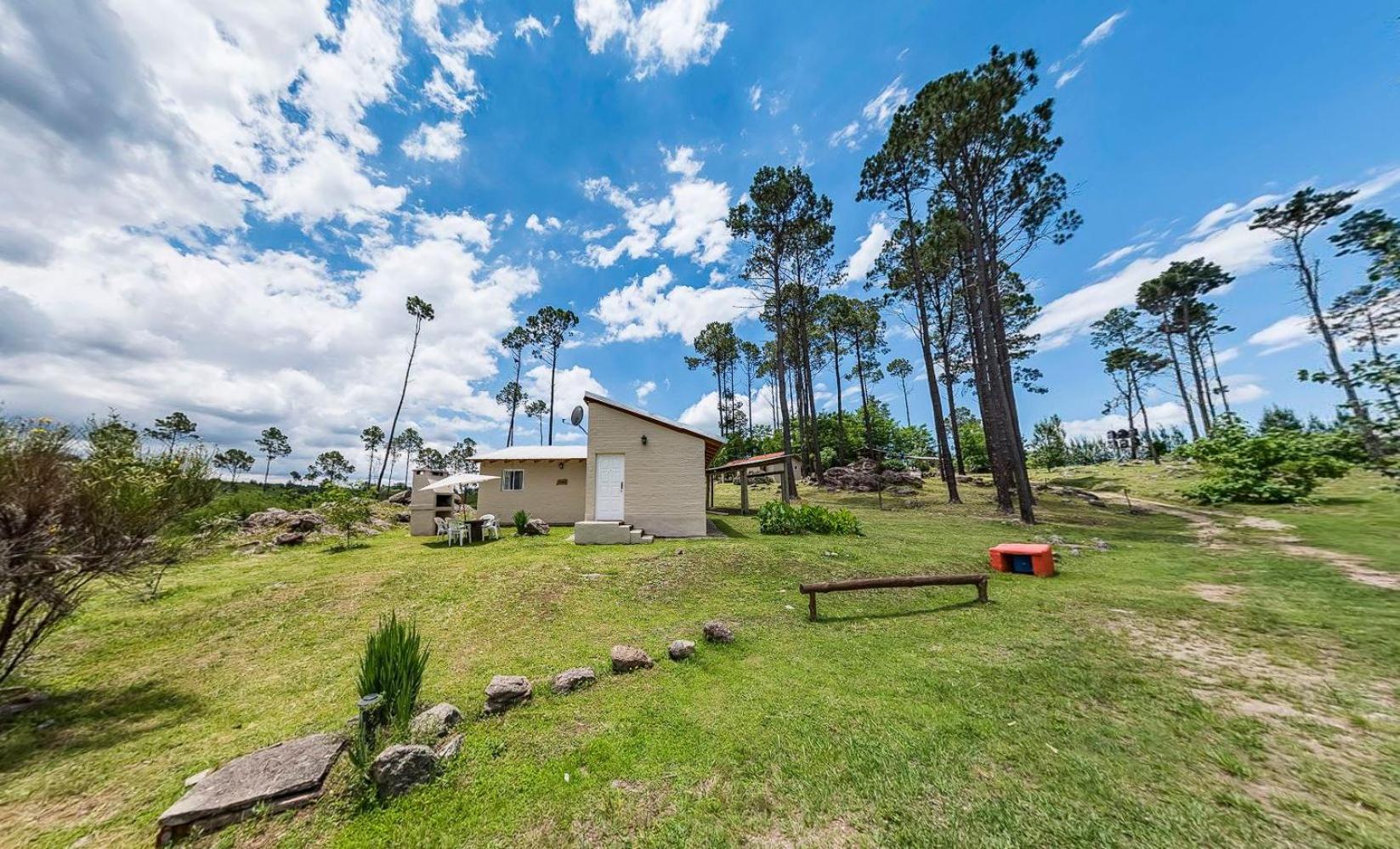 Altos Del Bosque