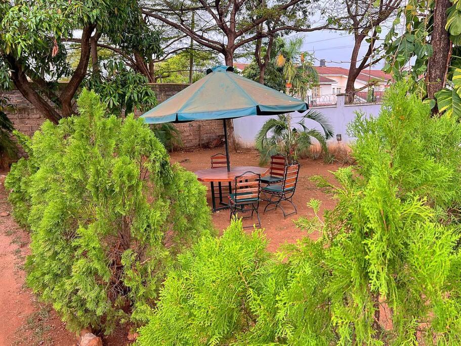 Executive Homely Studio apt view 5