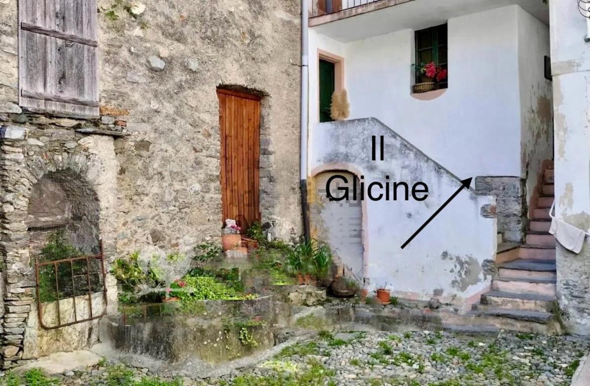 Il GLICINE