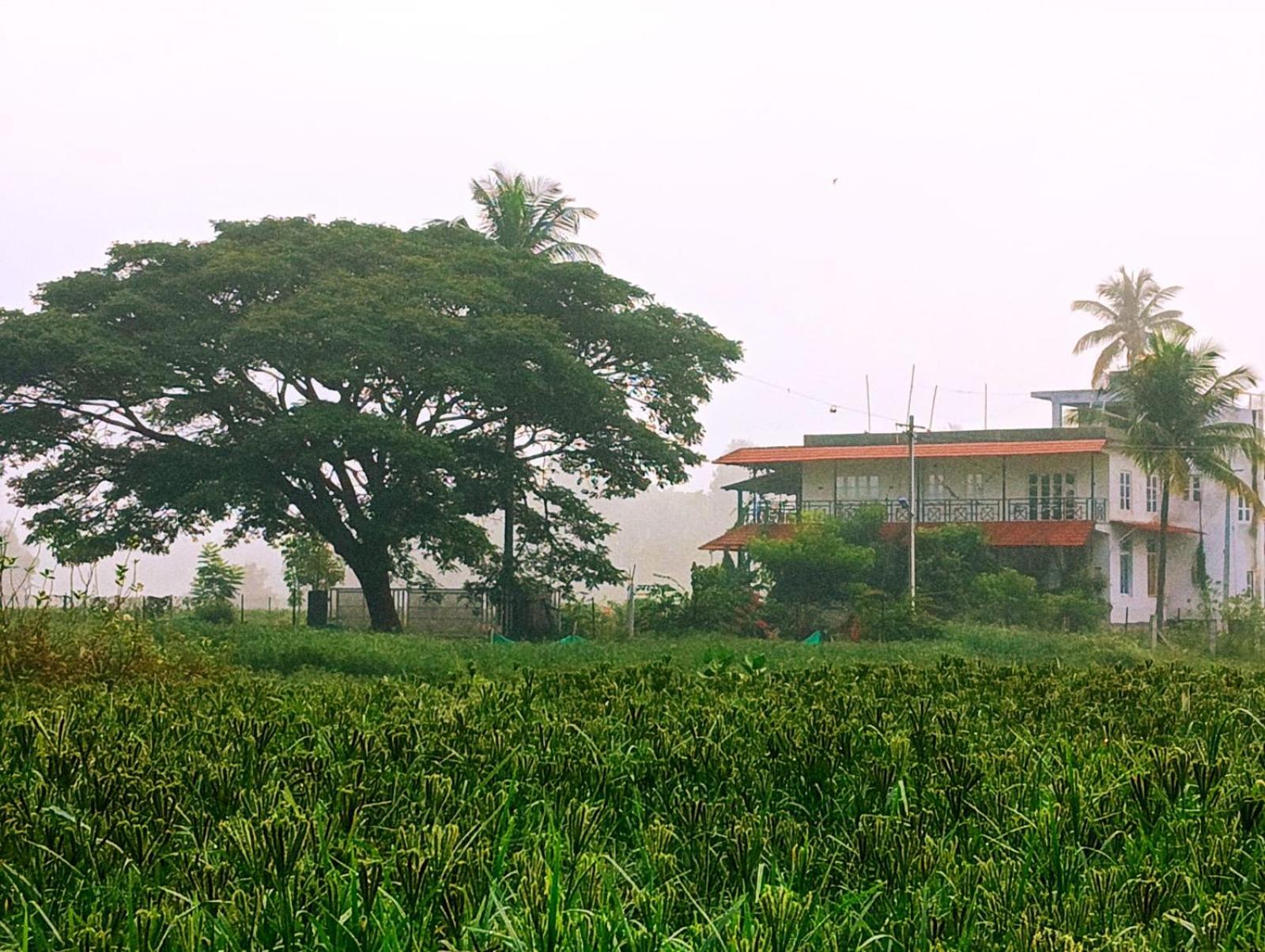 Armann Farmstay - A luxury getaway with beautiful views of Nandi Hills view 2
