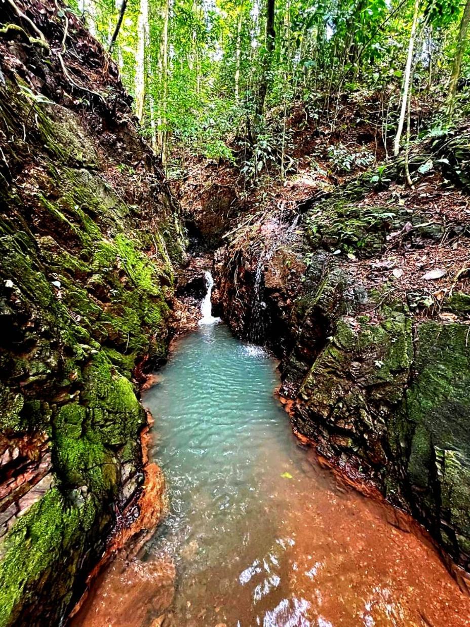 LA CABAÑA & hiking