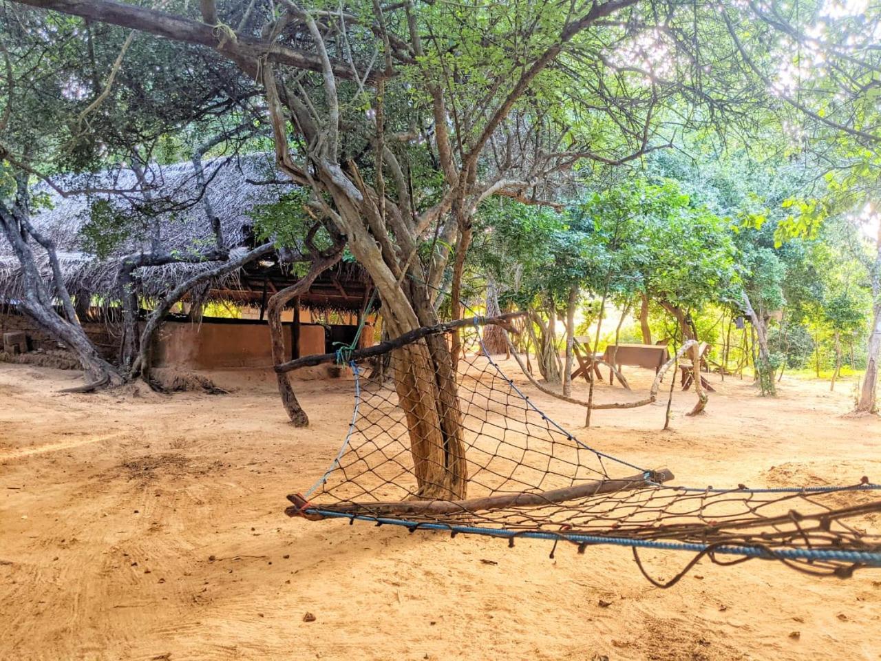 Yala Jungle Haven view 5