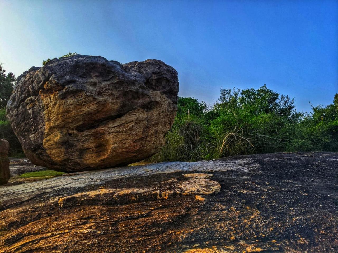 Yala Jungle Haven view 2