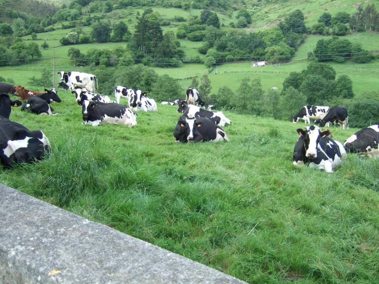 casa rural de Gonzalo Sariego Asturias