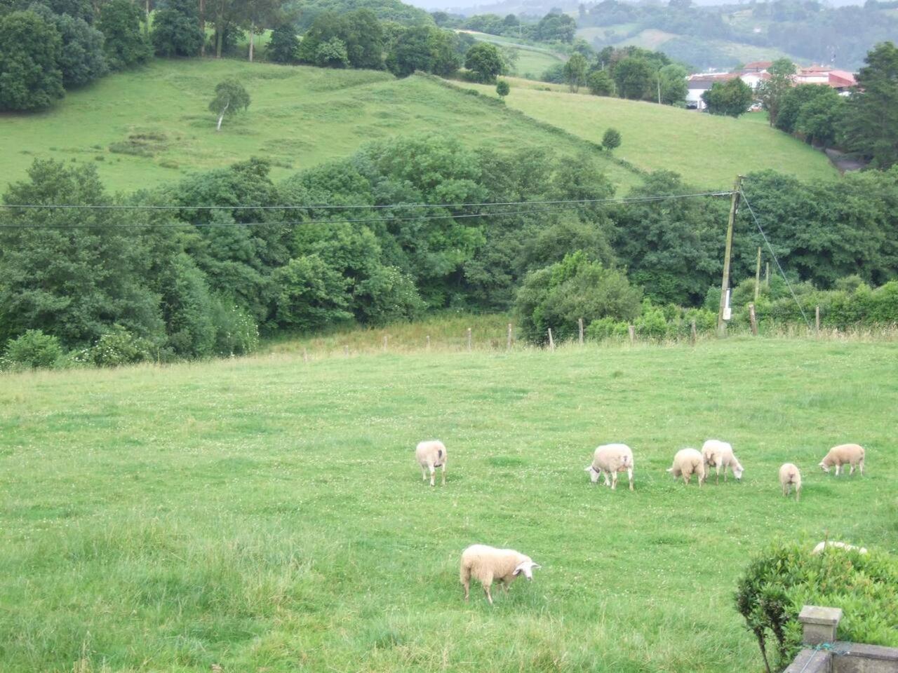 casa rural de Gonzalo Sariego Asturias