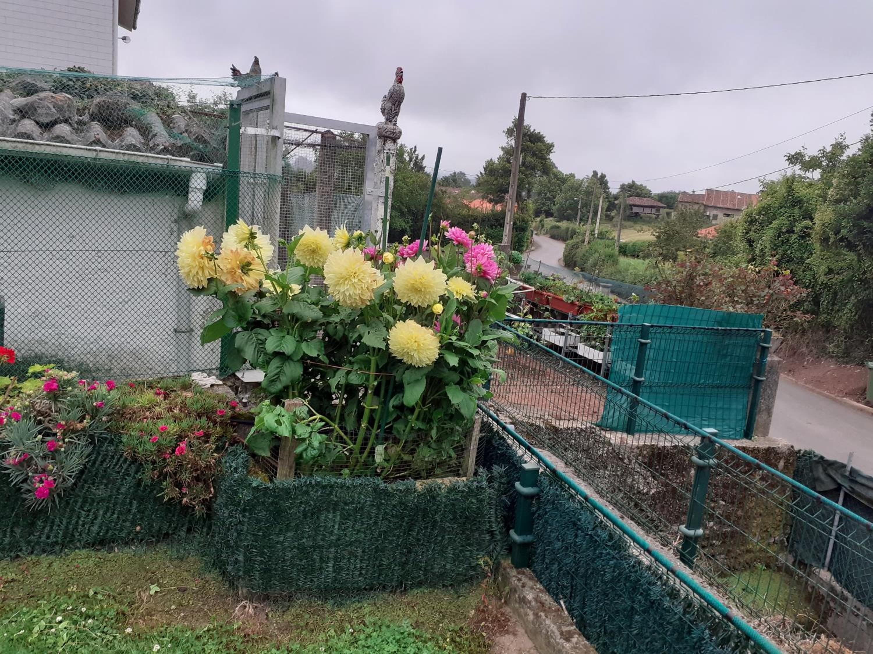 casa rural de Gonzalo Sariego Asturias