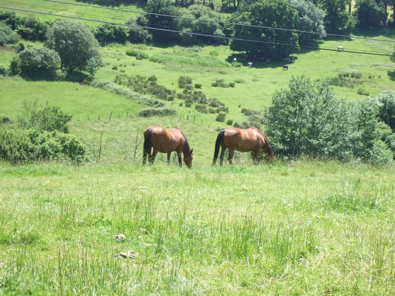 casa rural de Gonzalo Sariego Asturias