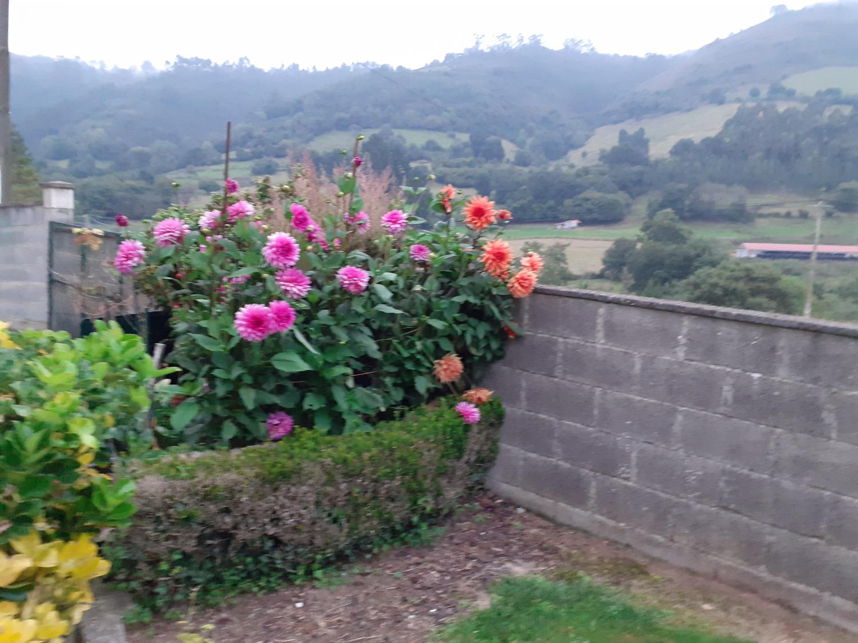casa rural de Gonzalo Sariego Asturias