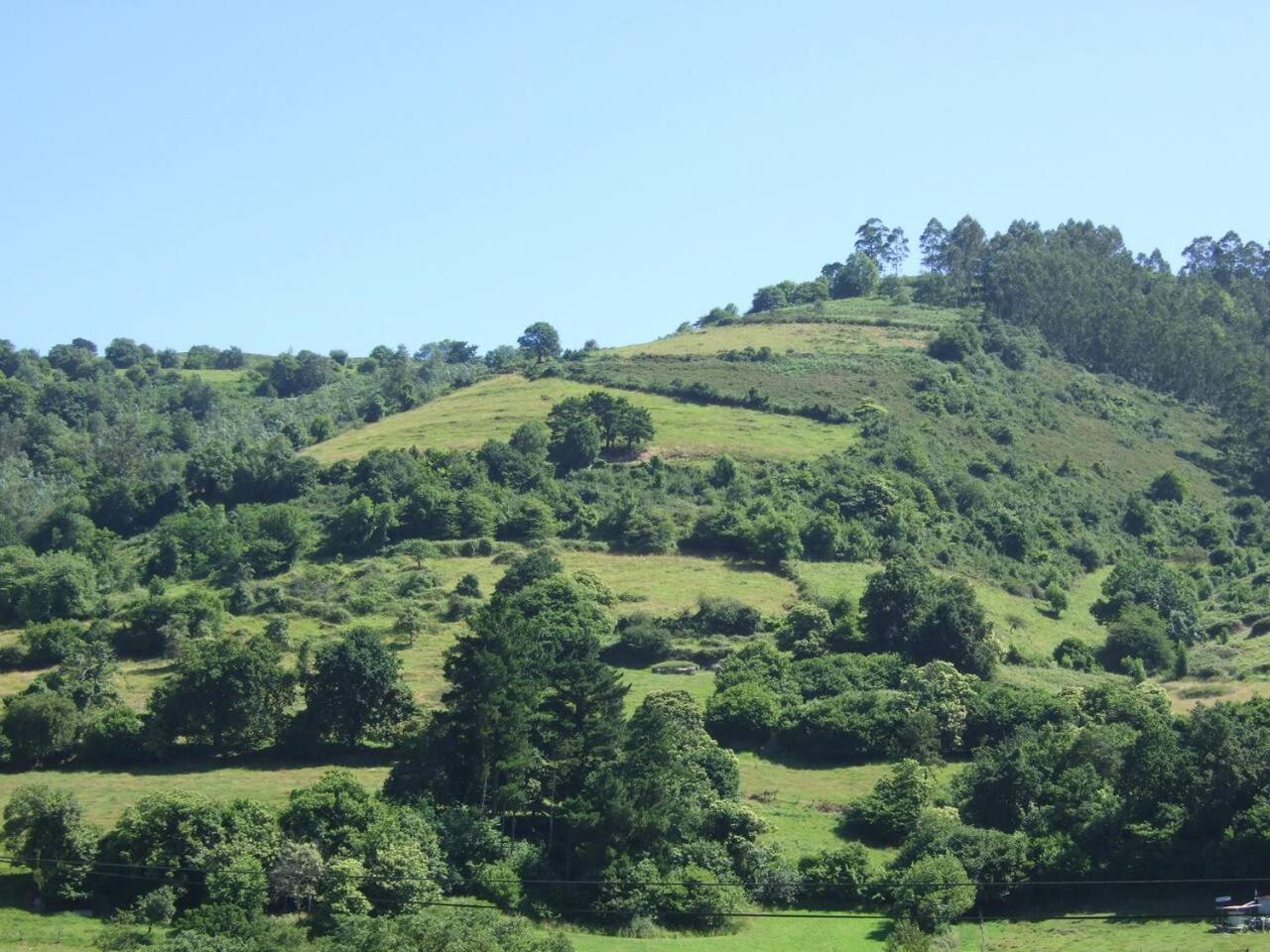 casa rural de Gonzalo Sariego Asturias