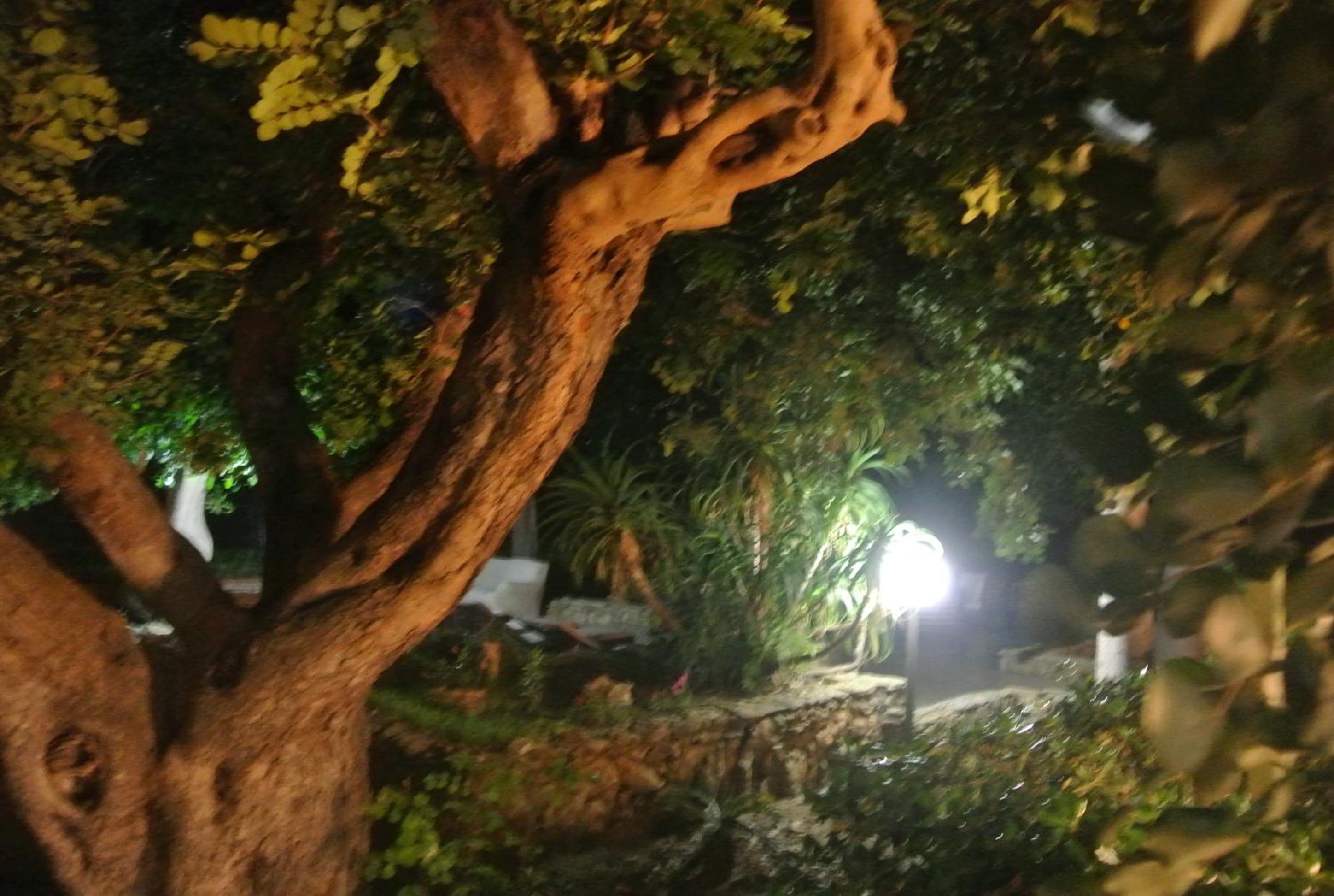 Villa Carlotta Resort