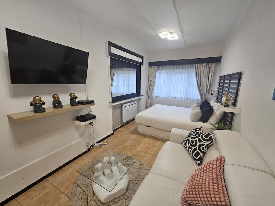 cosy studio concorde
