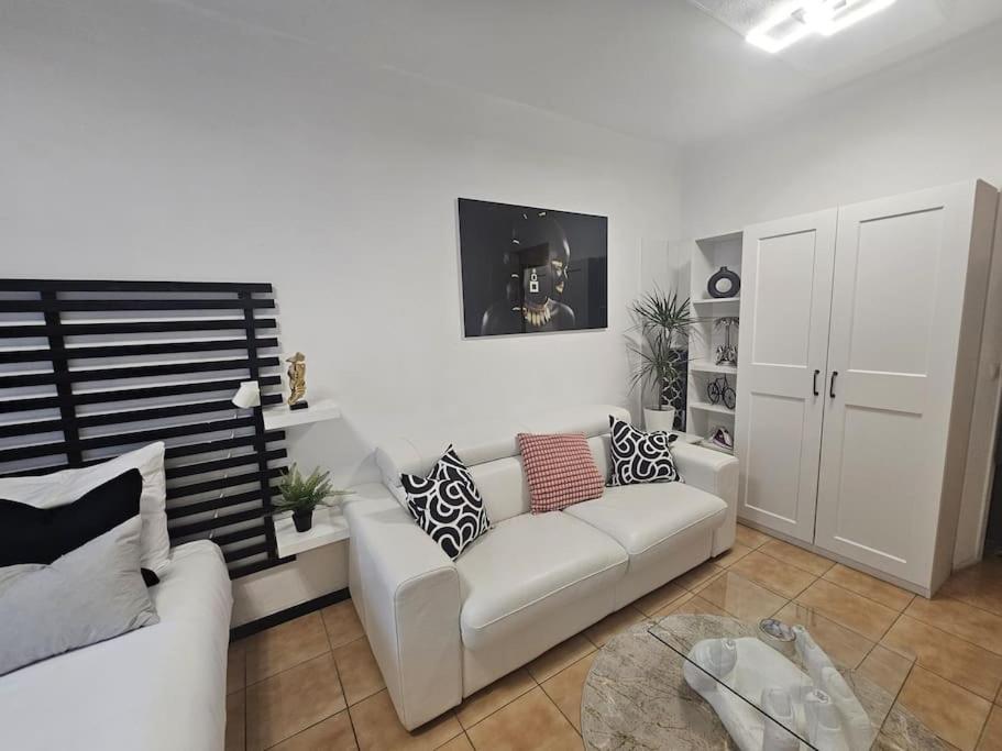 cosy studio concorde