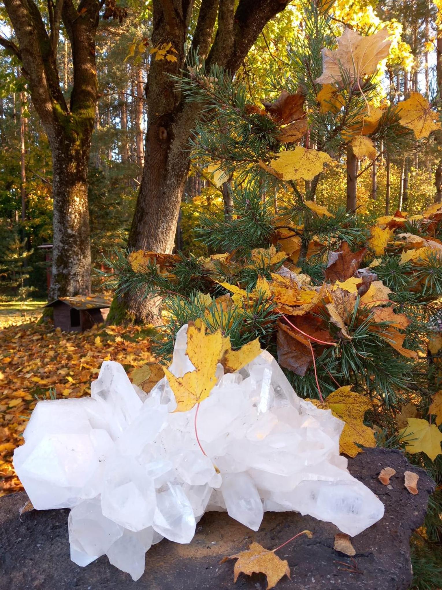 Kristalų Parkas
